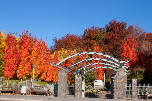 Botanic Gardens Entrance